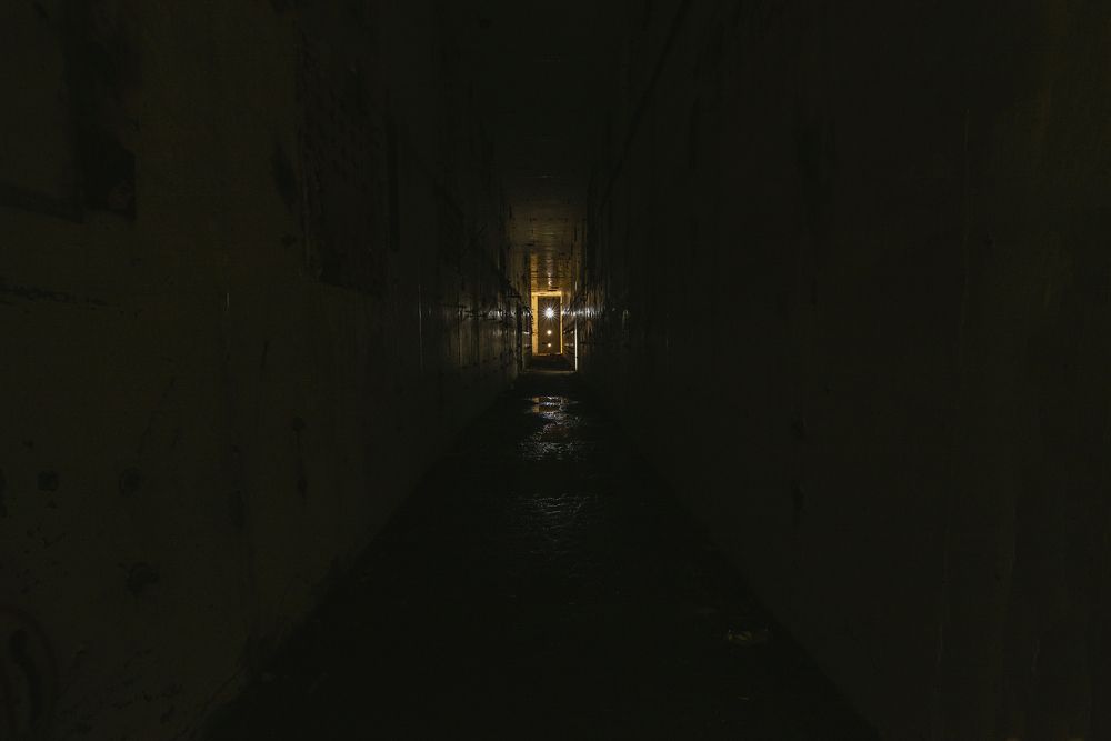 Photograph by Андрей Анатольевич Жуков