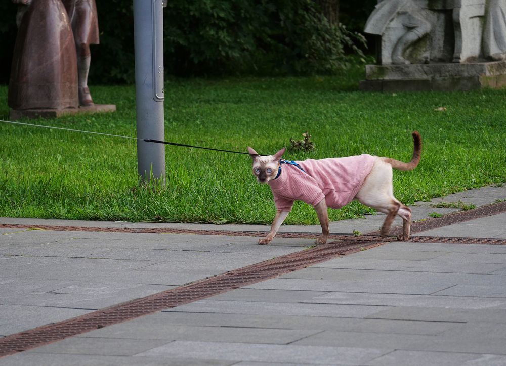 Photograph by Серафима Силина