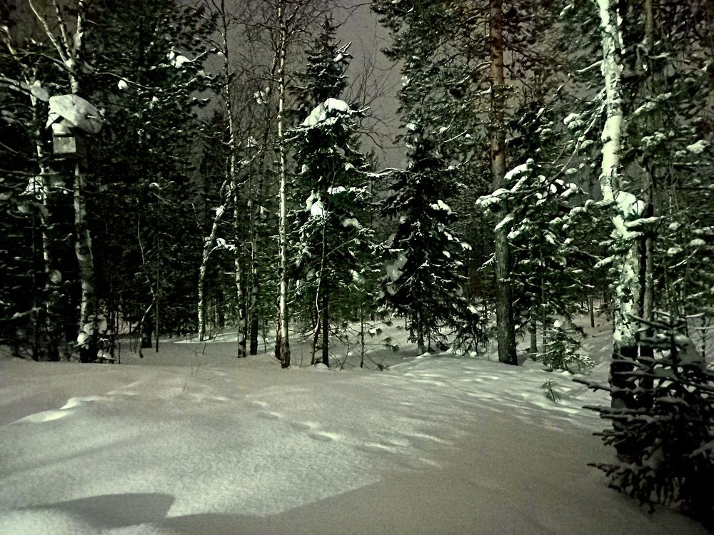 Photograph by Николай Почкалов