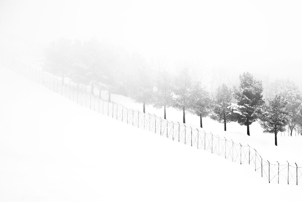 Photograph by Atefeh akbari