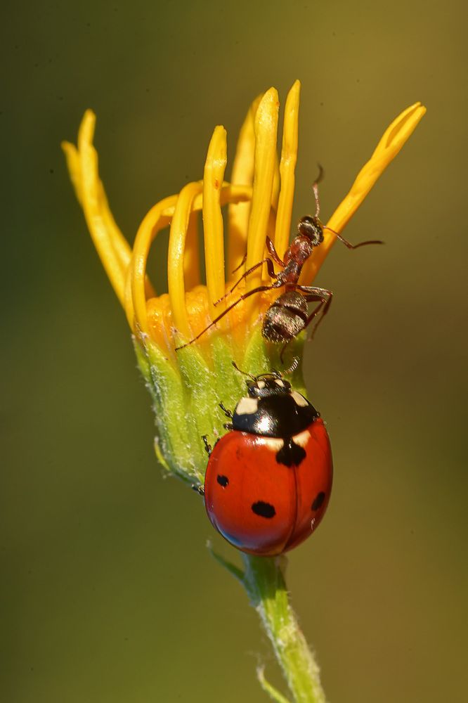 Фотография автора Билан Виктория
