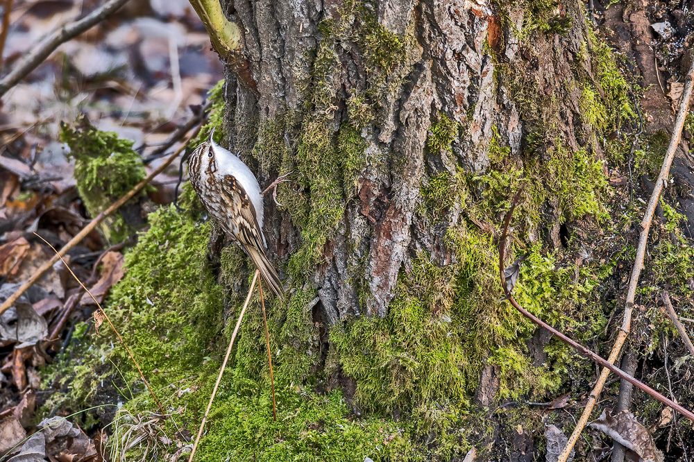 Photograph by Олег Колмаков