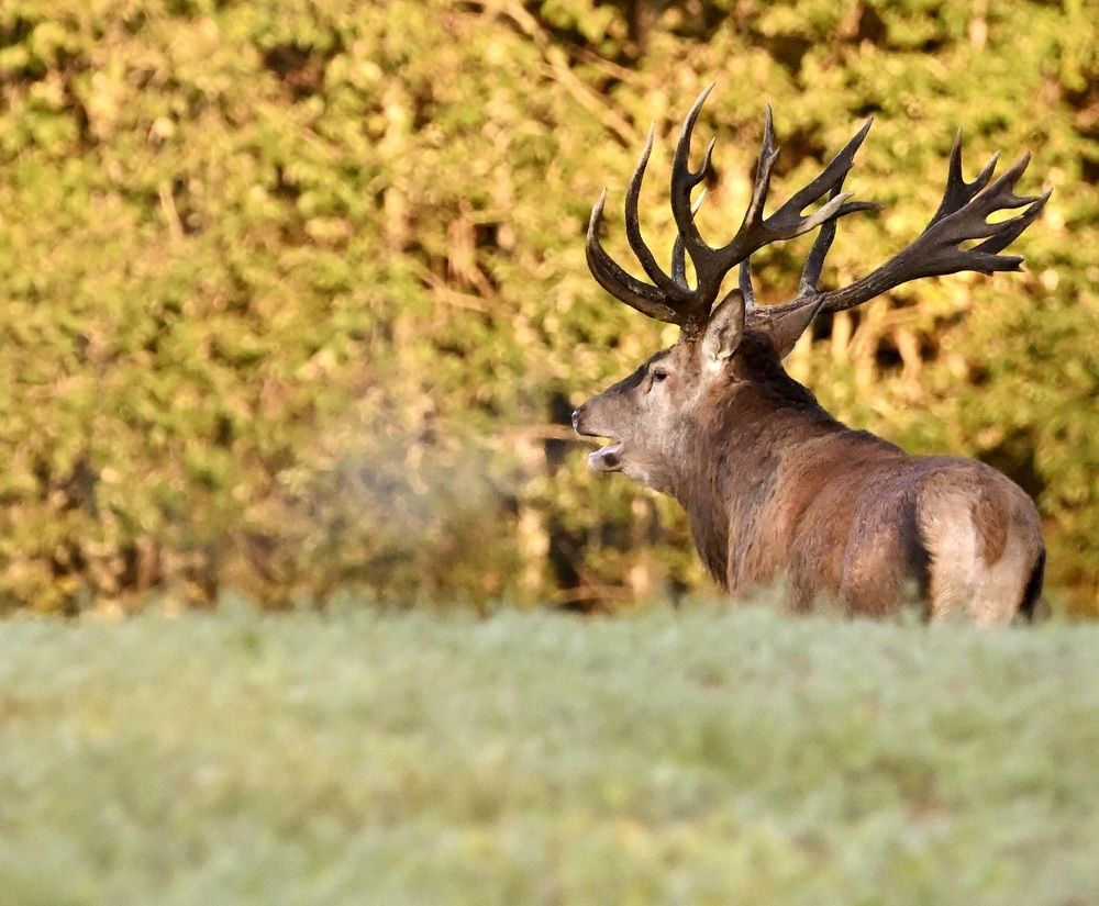 Photograph by Анатолий Андреев