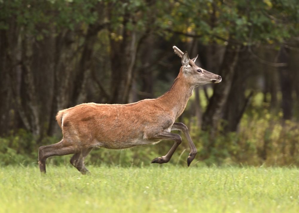 Photograph by Анатолий Андреев