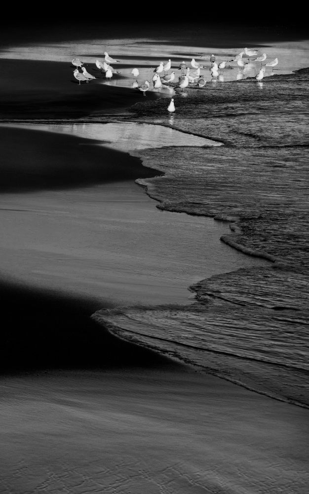 Photograph by amin kojoori