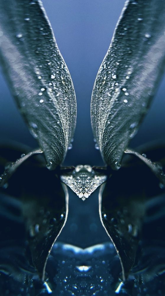 Photograph by Алеся