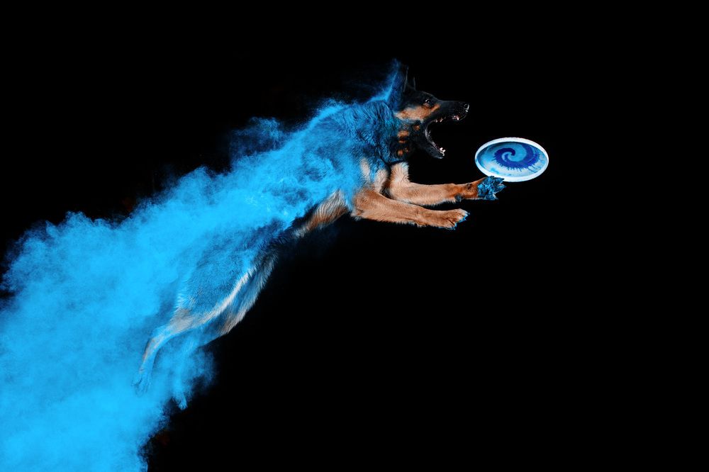 Photograph by Марина Плевако