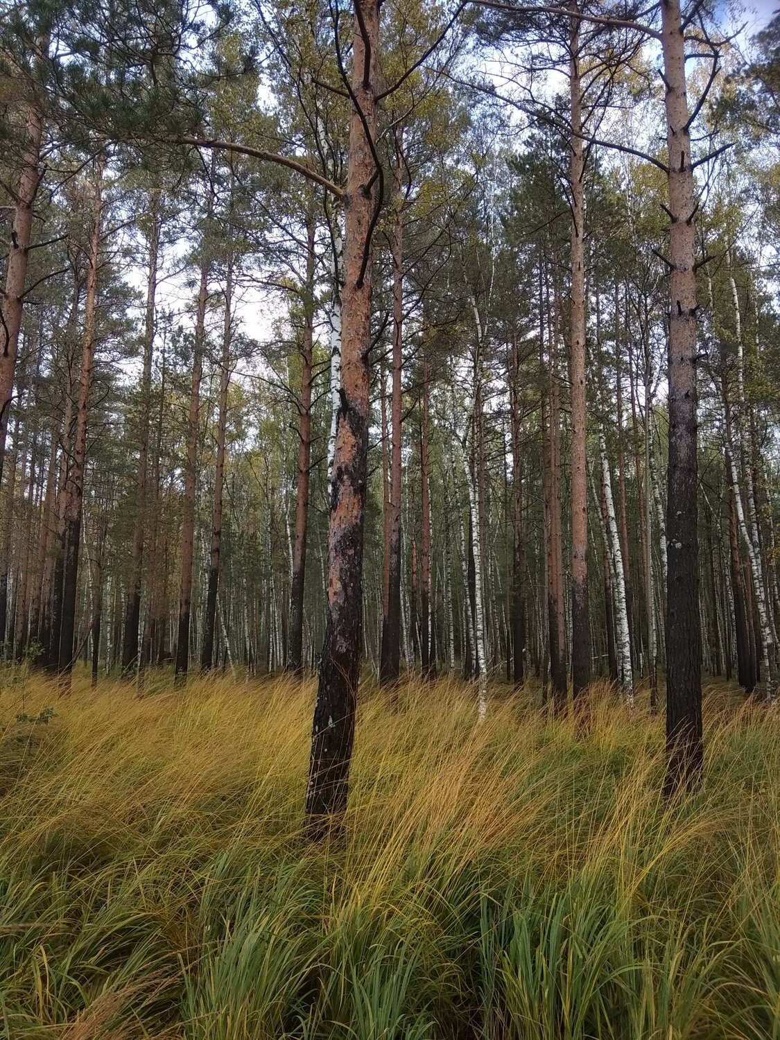 Photo #7357973