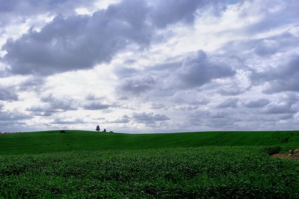 Фотография автора Dmitry