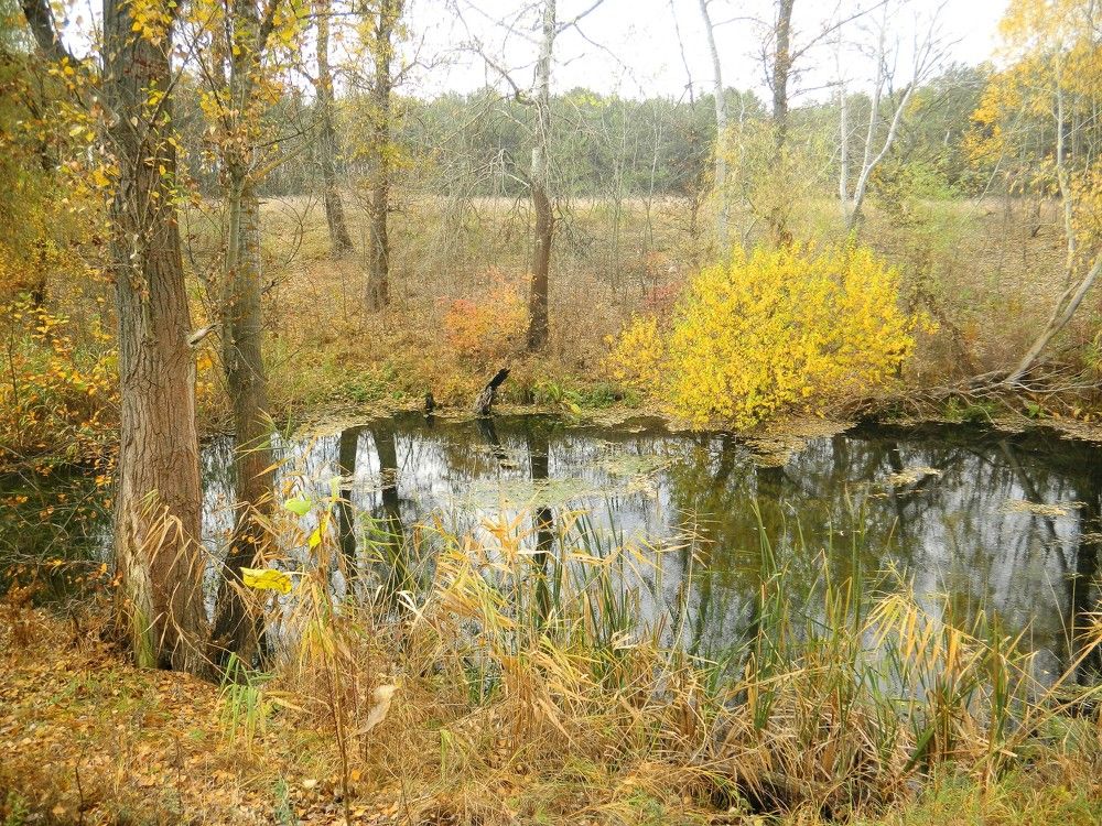 Photograph by Александр Кусенко