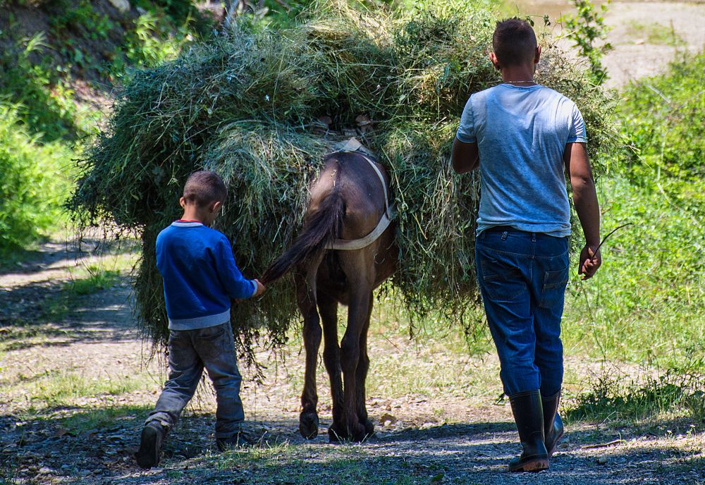 Photograph by Stojan