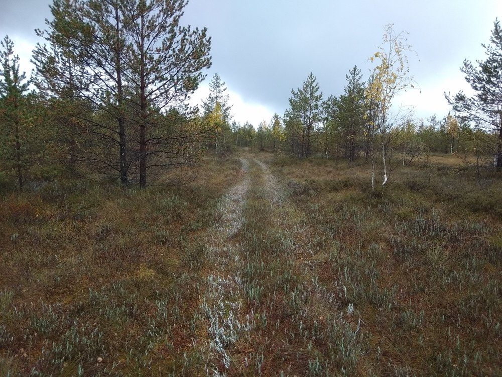 Photo #7358007