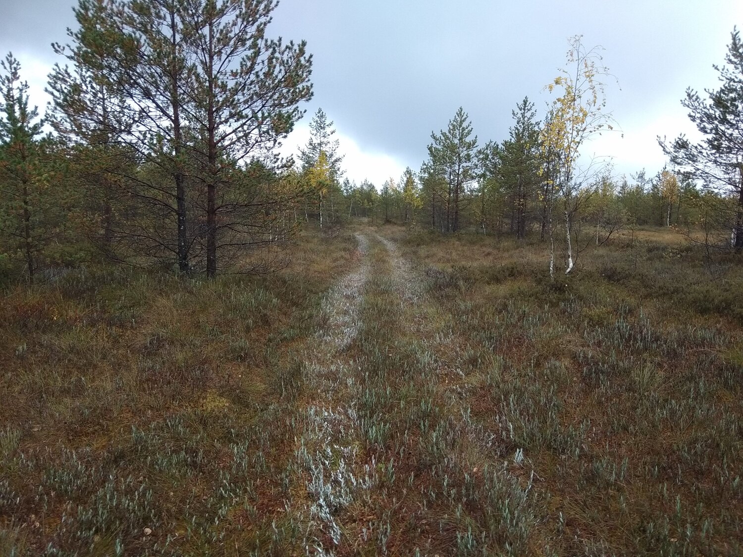 Photo #7358007