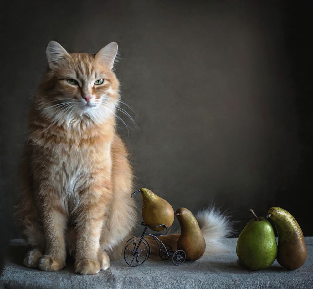 Дрессировщик.