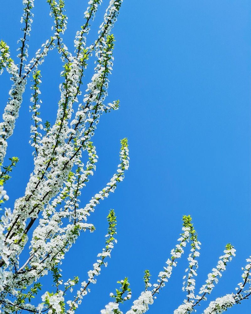 Photograph by Мария