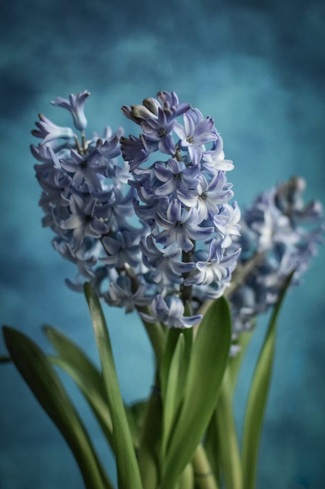 Photograph by Луиза Хисамутдинова