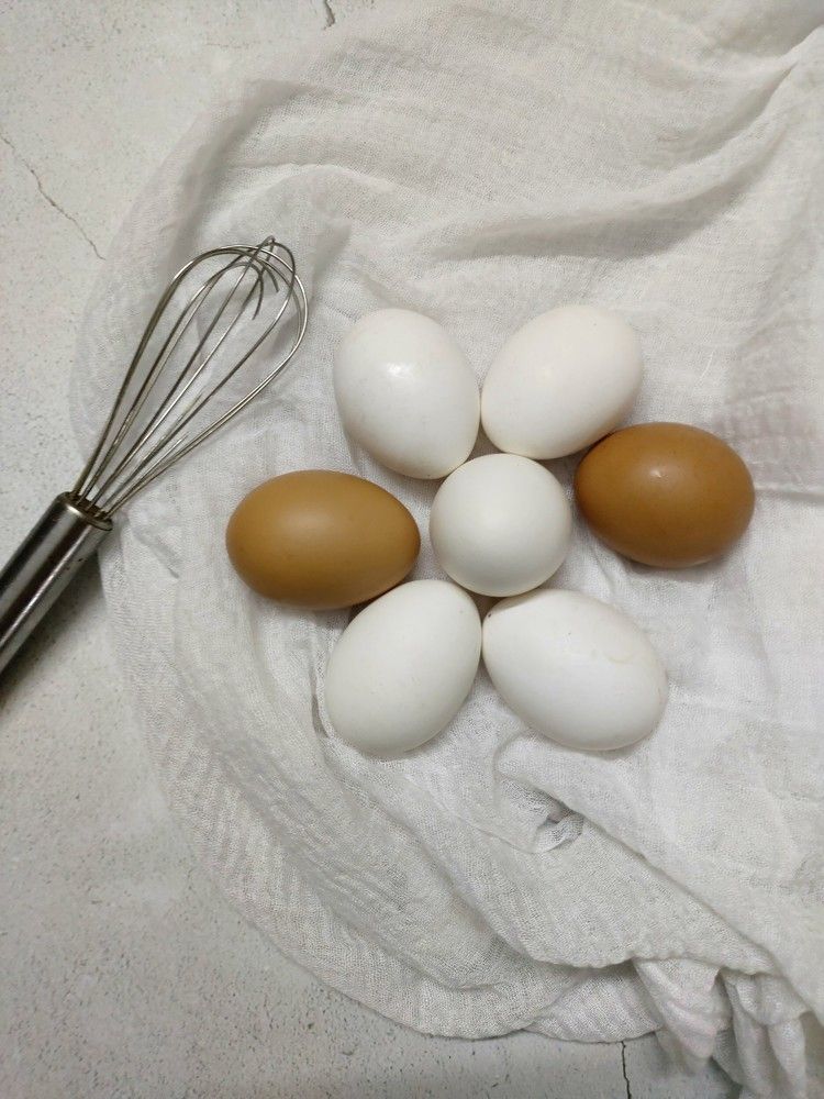 Photo #7358116