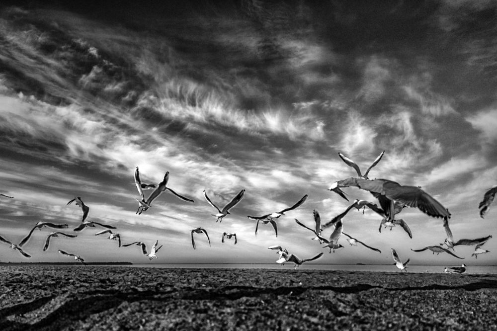 Photograph by Евгений Иванов