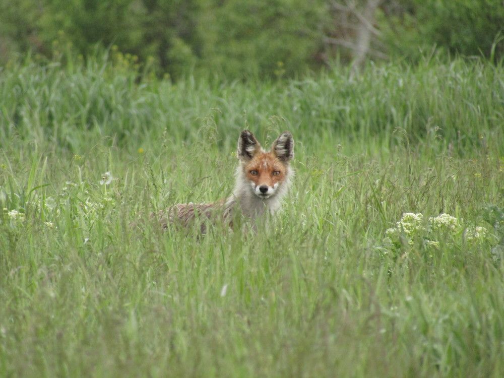 Photo #7358153