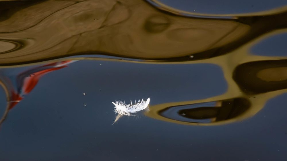 Photograph by Евгений Кузьмин