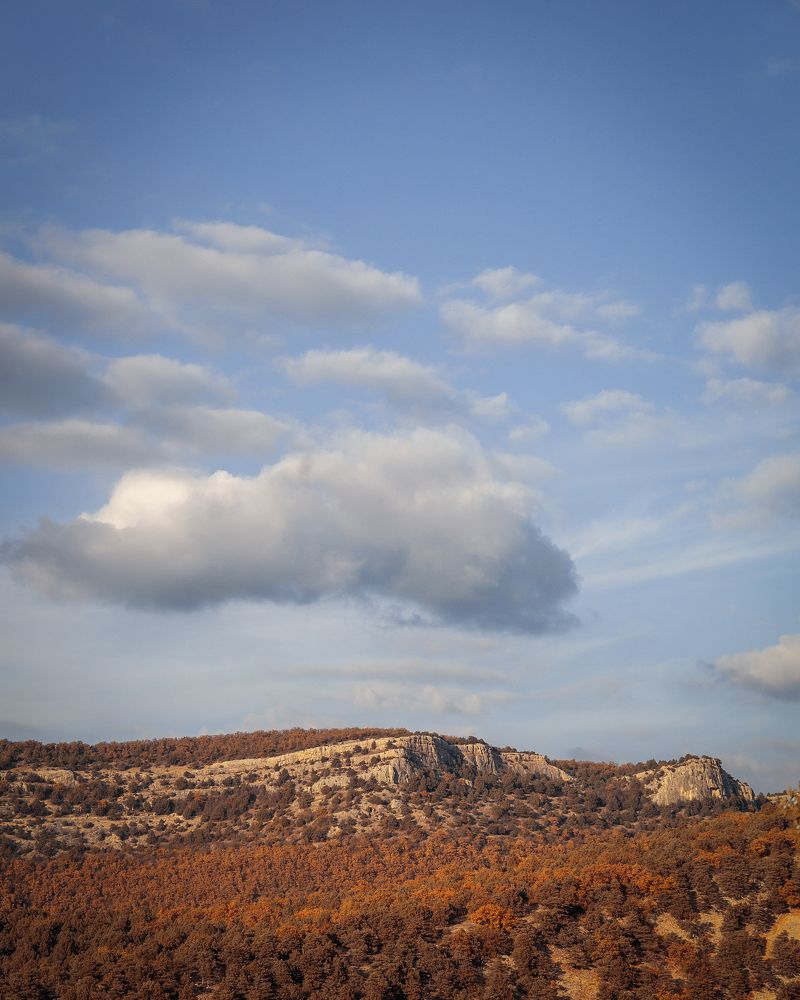 Фотография автора Евгений Петросян