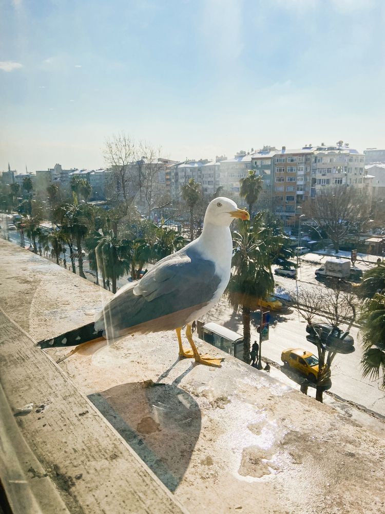 Photograph by Наталья К