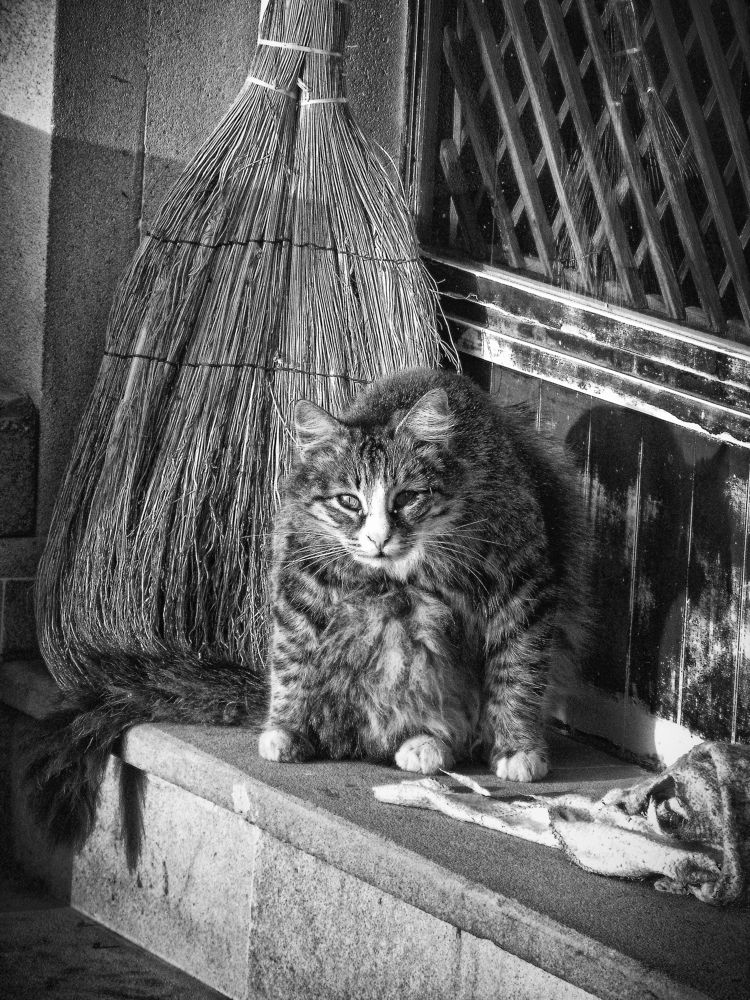 Photograph by Alexandr Kostylev