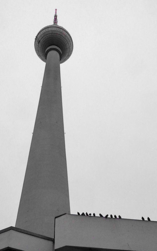 Фотография автора Алексей Голоушкин