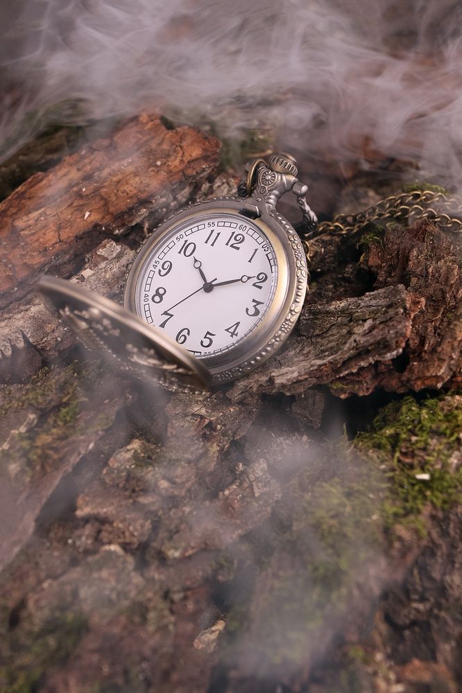 Фотография автора Seyede Elahe GHasemi