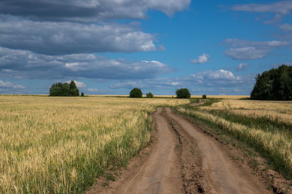 Photograph by Евгений Кузьмин