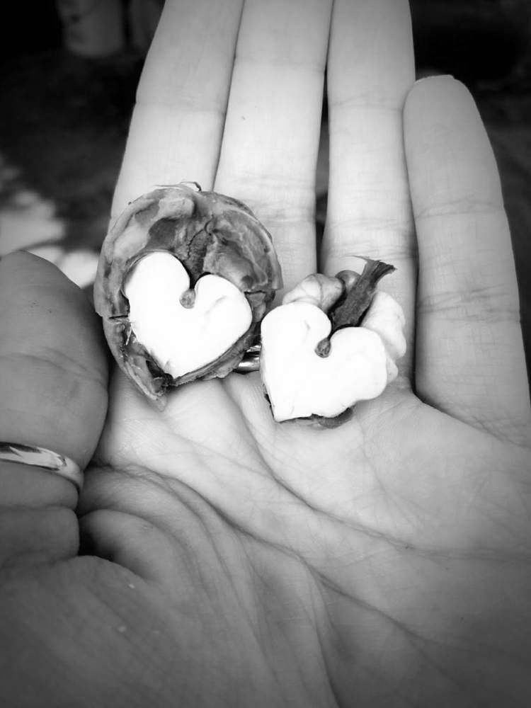 Photograph by Lejla Klepo