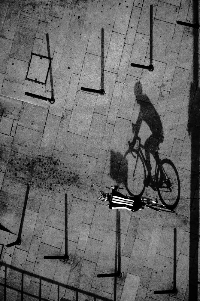 Photograph by Miguel António de Almeida e Silva