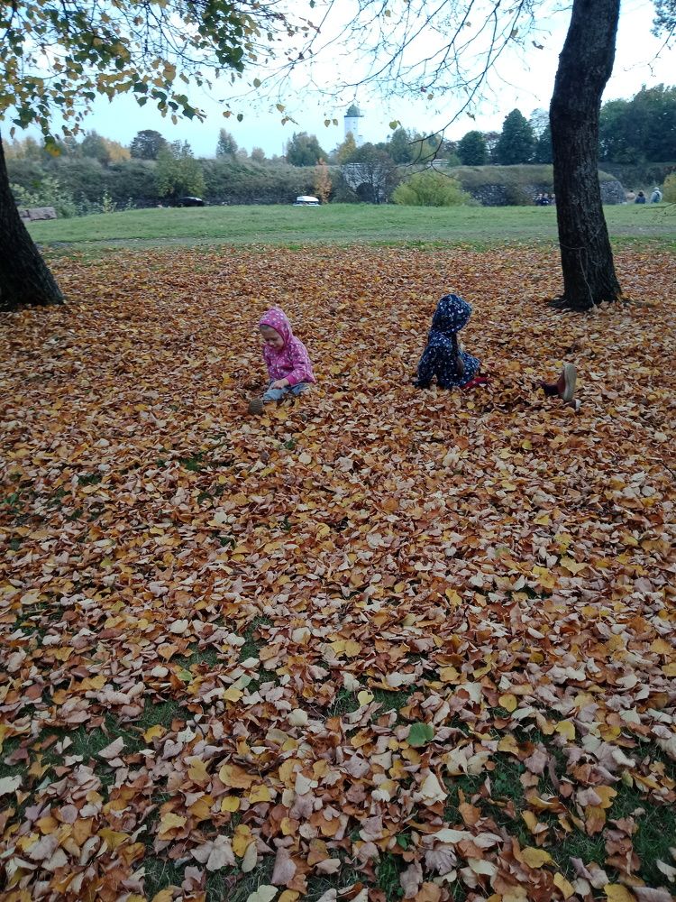 Photo #7358416