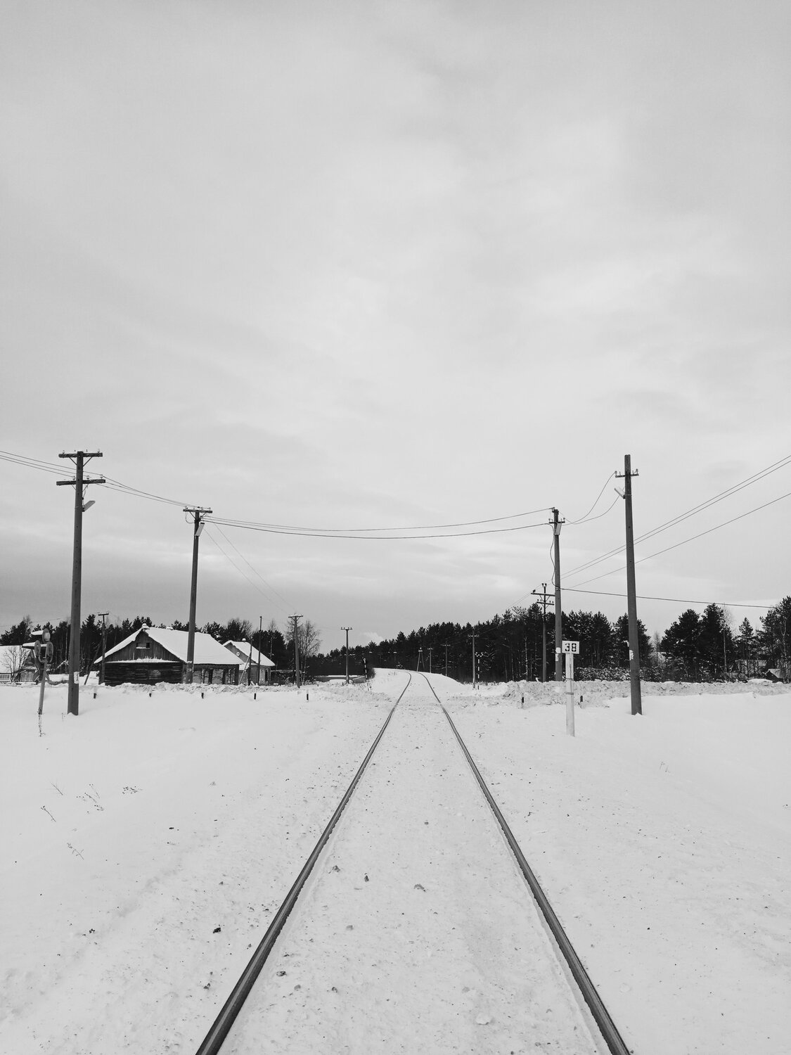 Photo #7358423