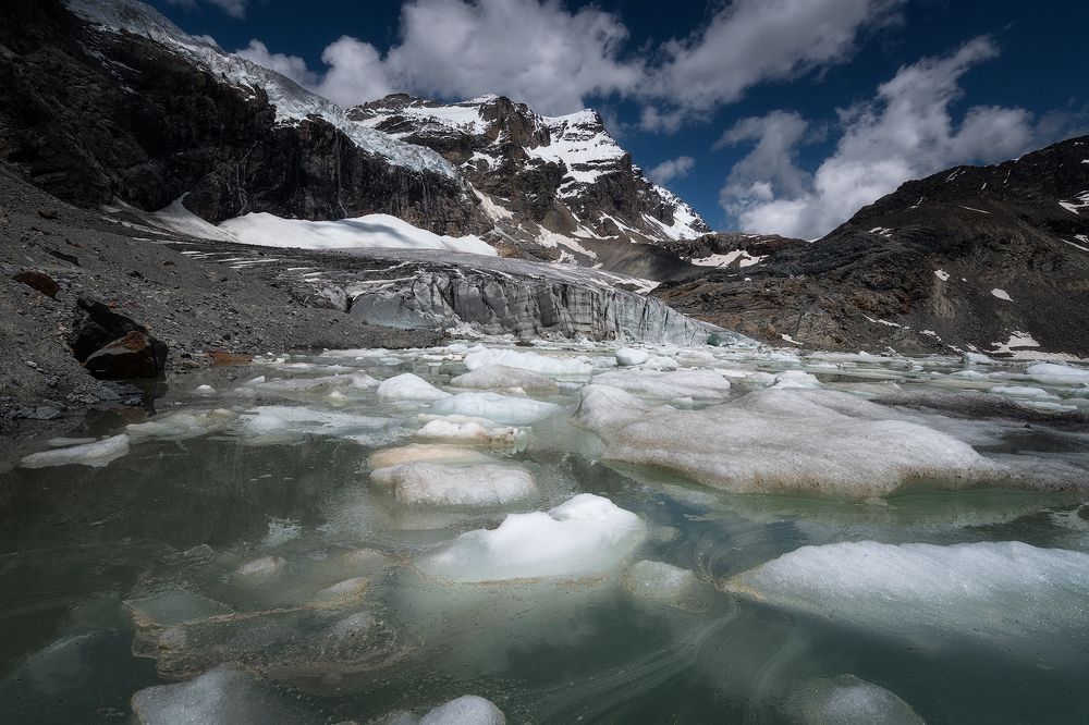 Photograph by Marco Toffaletti