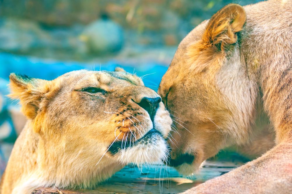 Photograph by Евгений Панов