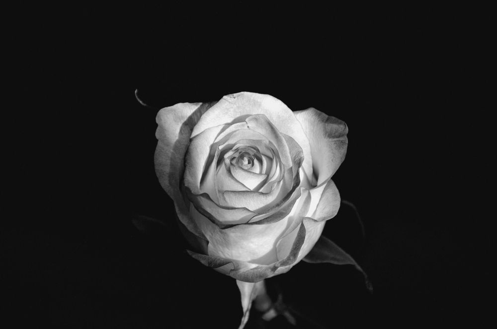 Photograph by Михаил Редин