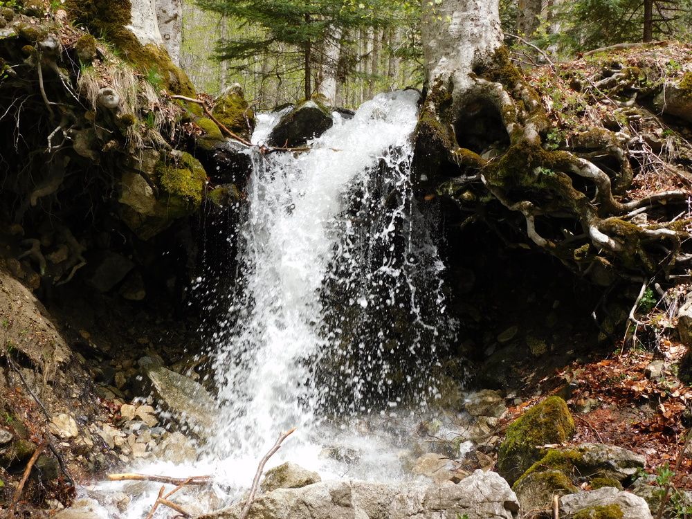 Photograph by Алмерия Монева