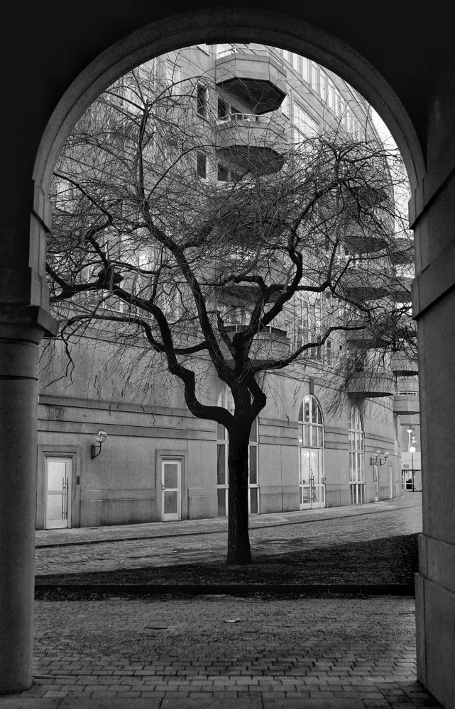 Photograph by Aleh Kalesnik