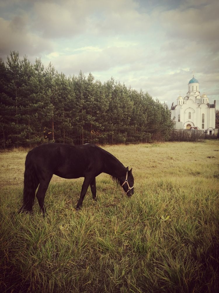 Photograph by Дарья Демина