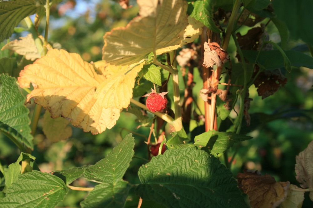 Фотография автора Марат Тагиров