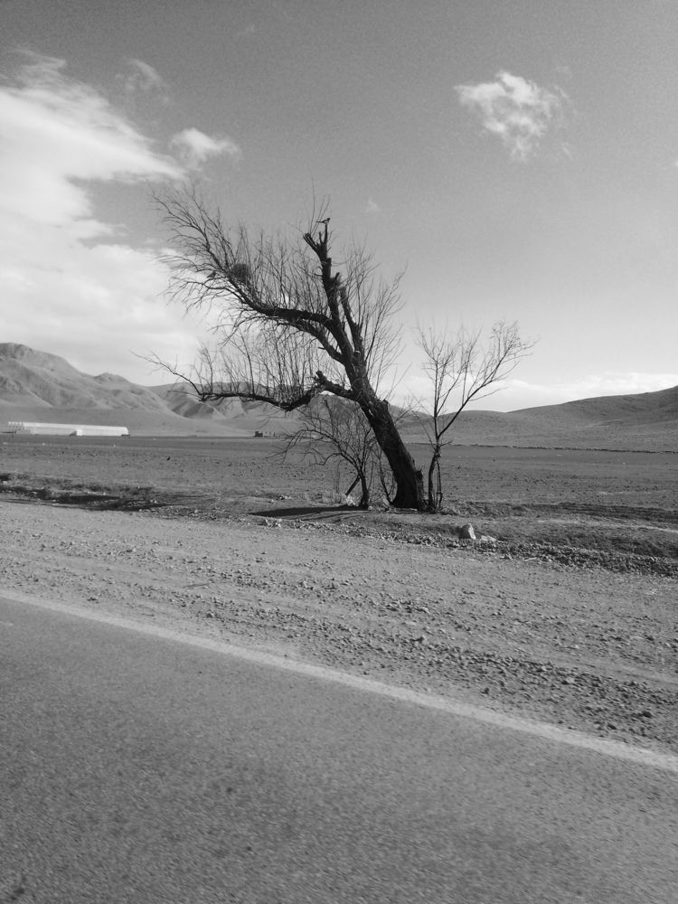 Photograph by محمدرضا کیانی