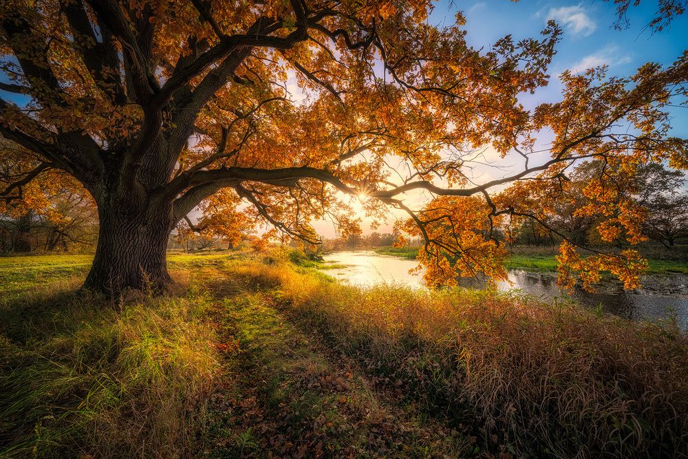 Photograph by Piotr Golebniak