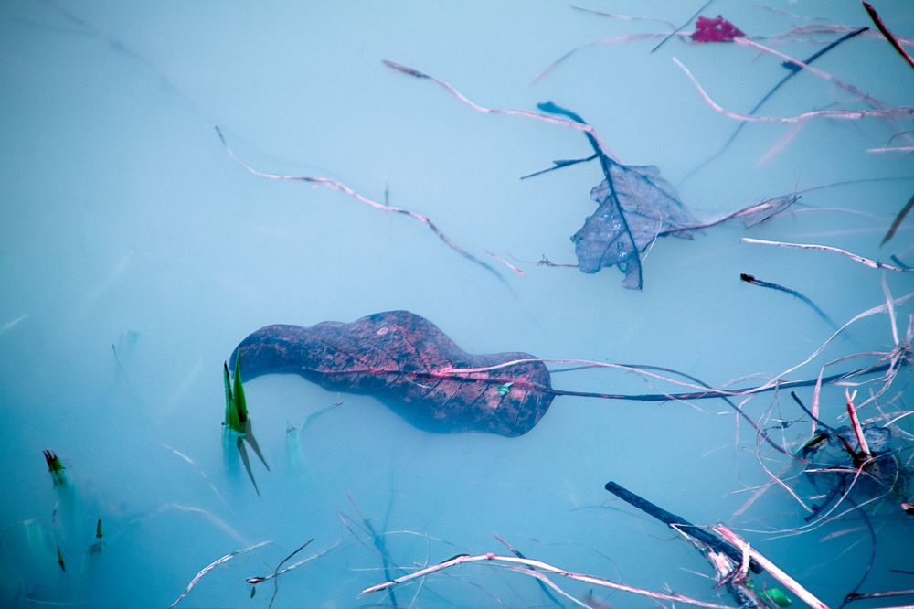 Photograph by Anastasiya Deia