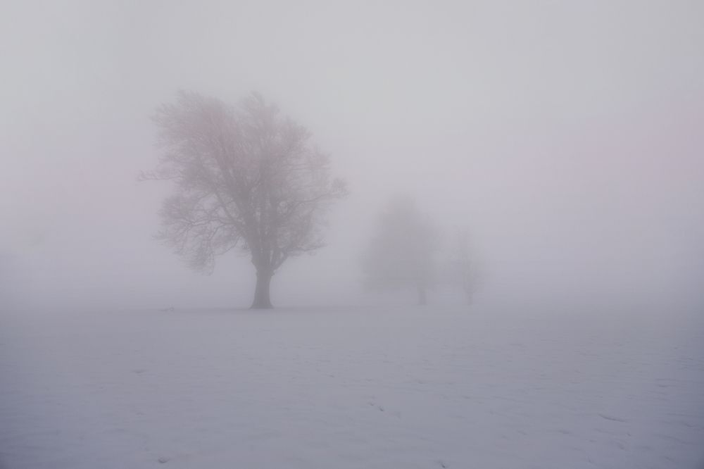 Светлое будущее, теряющееся во мраке