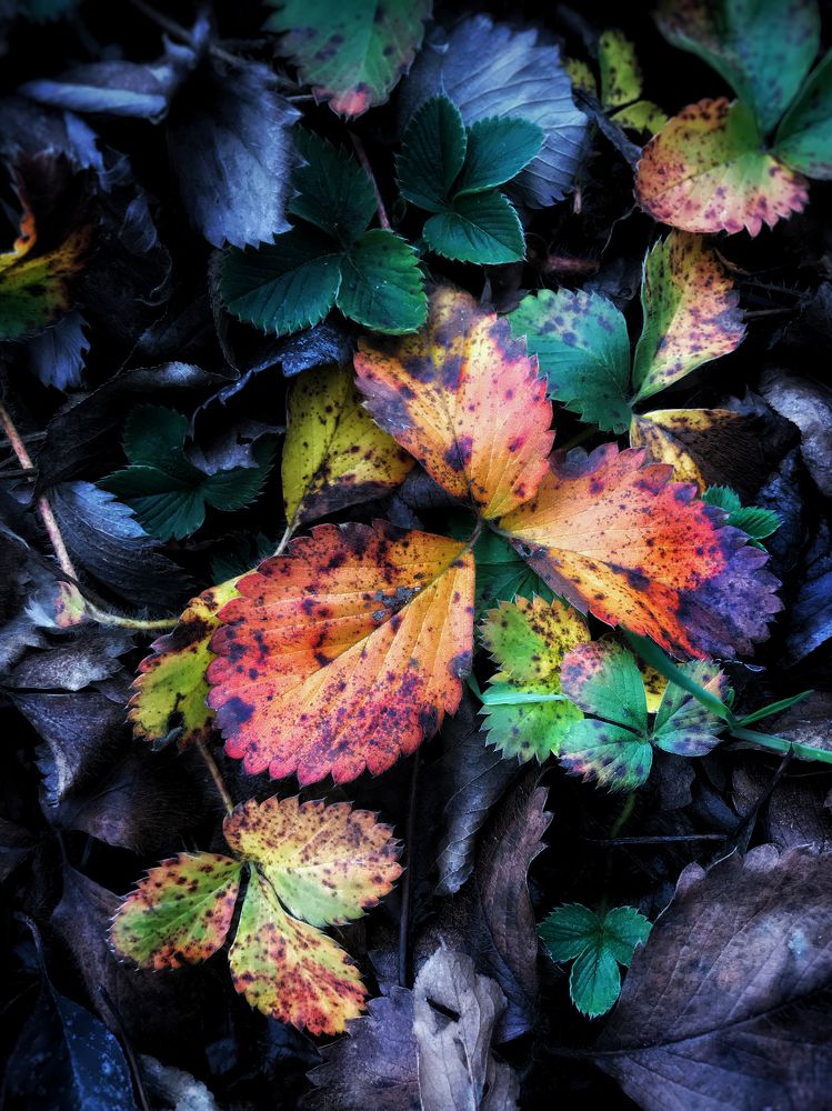 Photograph by Полина