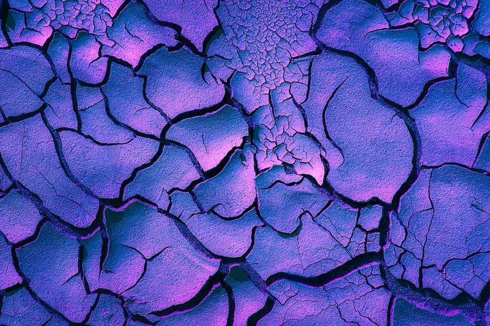 Photograph by Anastasiya Deia