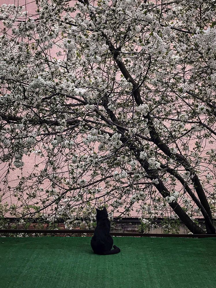 Photograph by Полина