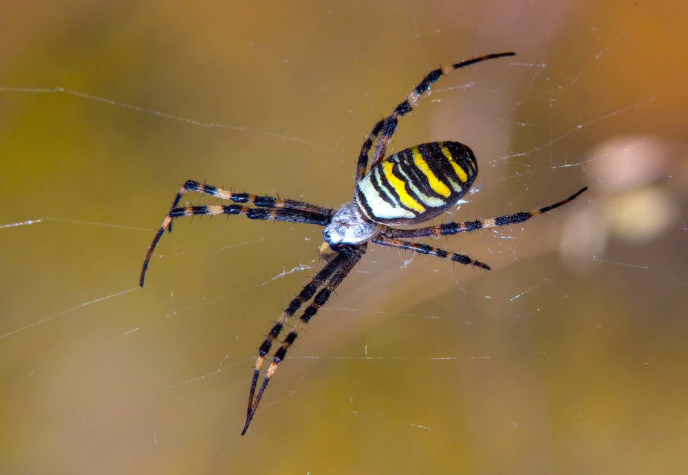 Photograph by Matko Matkovic