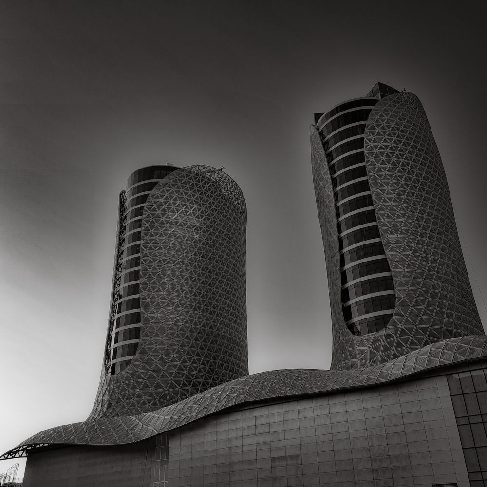 Photograph by Sandra Josefina Sandrea de Bruzual